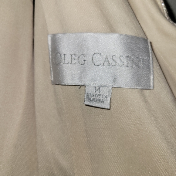 Champagne formal gown - Picture 4 of 4